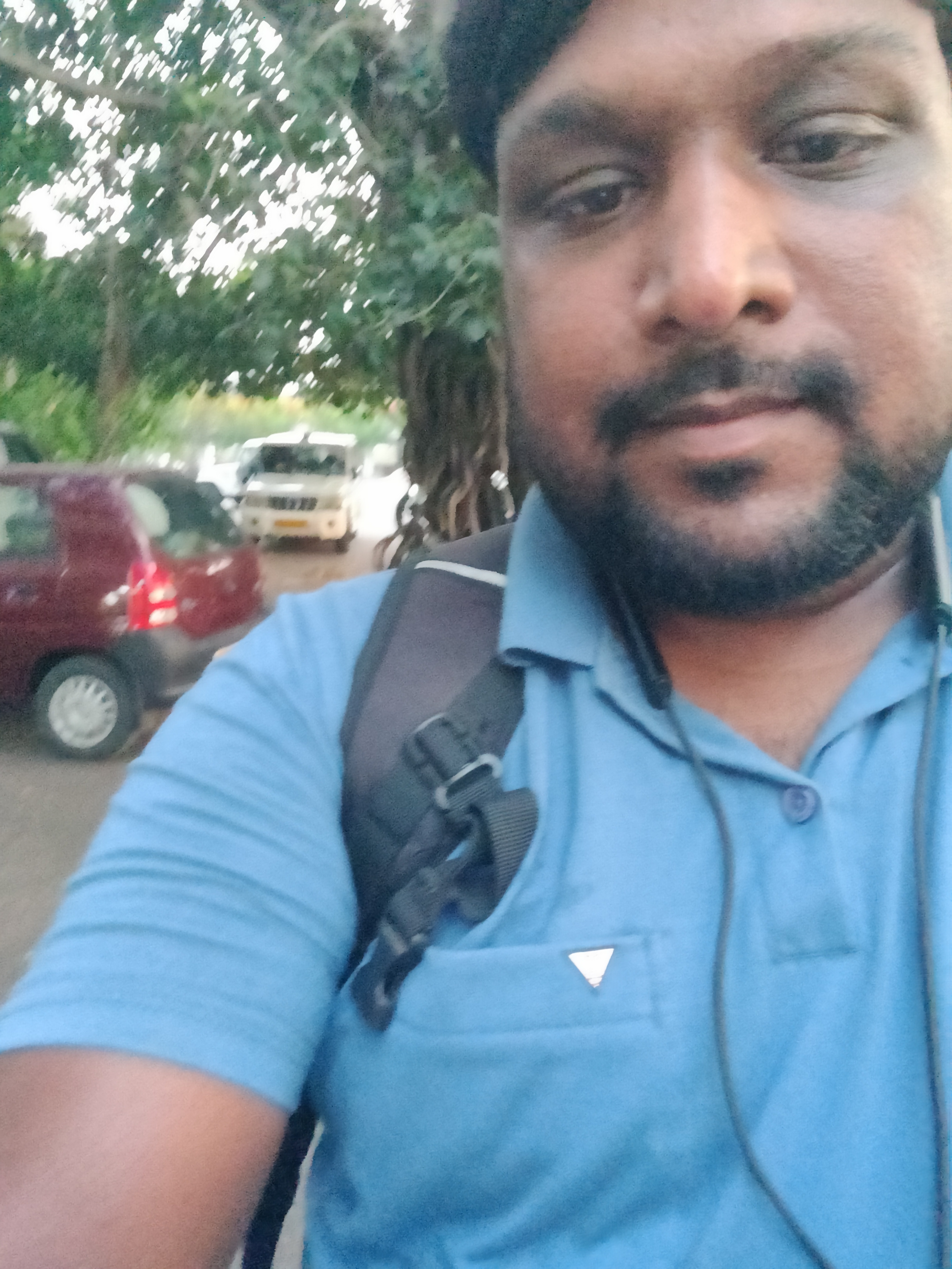 Tree plantation